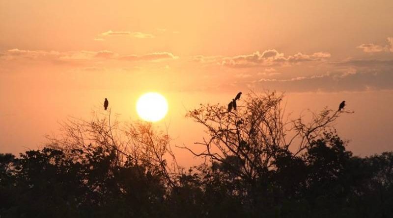 Em sábado de sol, ventos intensificam ar quente e seco em Mato Grosso do Sul 