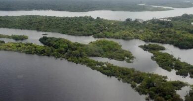 Foz do Amazonas: entenda a decisão do Ibama e a polêmica em torno da exploração de petróleo na região Foz do Amazonas: entenda a decisão do Ibama e a polêmica em torno da exploração de petróleo na região