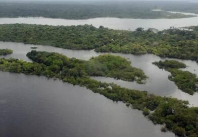 Foz do Amazonas: entenda a decisão do Ibama e a polêmica em torno da exploração de petróleo na região