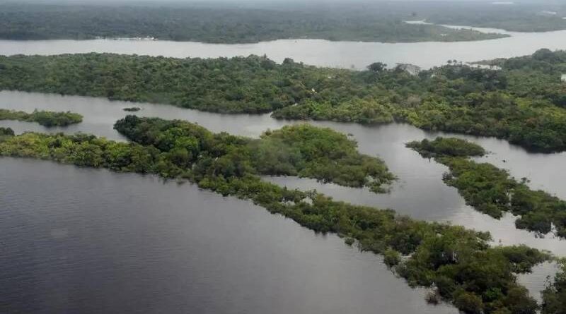 Foz do Amazonas: entenda a decisão do Ibama e a polêmica em torno da exploração de petróleo na região