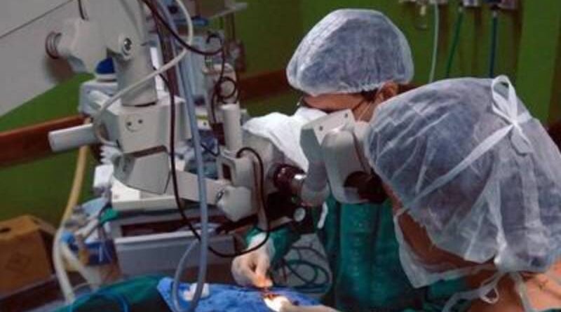 Doação de órgãos: Brasil bate recorde, mas recusa familiar ainda é alta