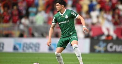 Palmeiras briga pelo topo da tabela; confira os jogos deste domingo