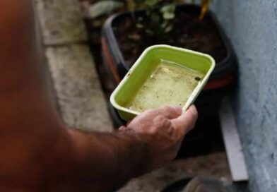 Entre a folia e o cuidado: SES alerta para prevenção contra a dengue e chikungunya no Carnaval