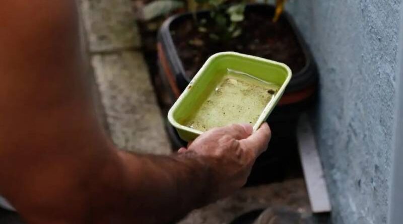 Entre a folia e o cuidado: SES alerta para prevenção contra a dengue e chikungunya no Carnaval