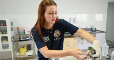 Centro de Triagem de Três Lagoas se torna referência no atendimento de animais silvestres da região Centro de Triagem de Três Lagoas se torna referência no atendimento de animais silvestres da região