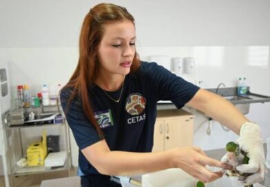 Centro de Triagem de Três Lagoas se torna referência no atendimento de animais silvestres da região Centro de Triagem de Três Lagoas se torna referência no atendimento de animais silvestres da região