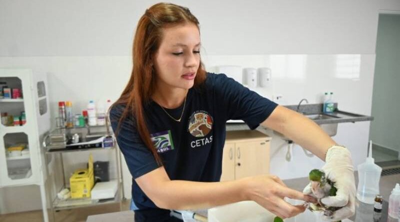 Centro de Triagem de Três Lagoas se torna referência no atendimento de animais silvestres da região Centro de Triagem de Três Lagoas se torna referência no atendimento de animais silvestres da região