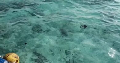 Petróleo vaza de cargueiro e atinge praias paradisíacas na Tailândia