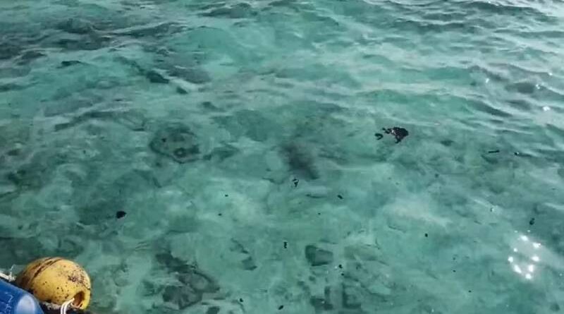 Petróleo vaza de cargueiro e atinge praias paradisíacas na Tailândia