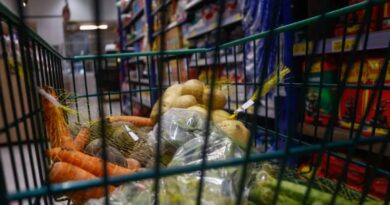 IBGE: prévia da inflação, IPCA-15 sobe 0,44%, puxada por alimentos