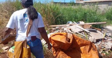 SES divulga 1º LIRAa de 2026 e detalha risco de arboviroses em cidades de MS