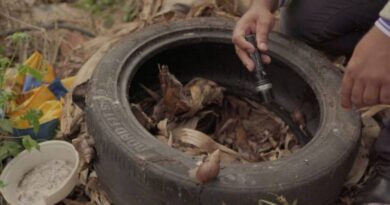 SES realiza força-tarefa com Defesa Civil para conter avanço da chikungunya em Dourados