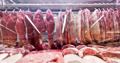 UE deixa Brasil fora de exportação de carnes por exigências sanitárias