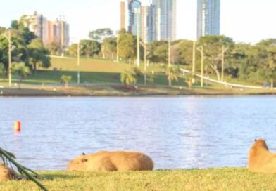 Apesar de Adriane, Campo Grande fica em 4º lugar no ranking de qualidade de vida