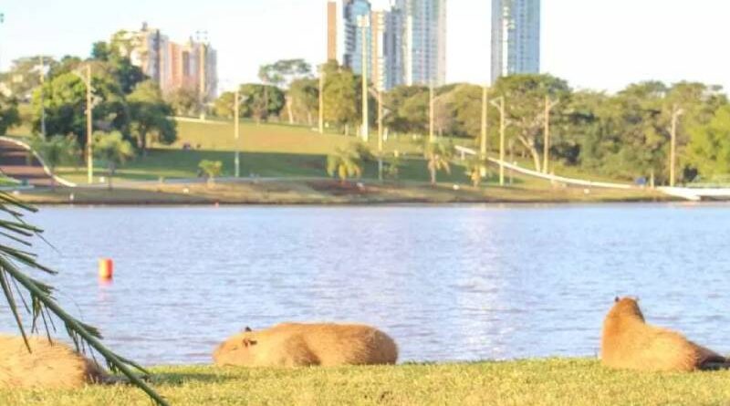 Apesar de Adriane, Campo Grande fica em 4º lugar no ranking de qualidade de vida