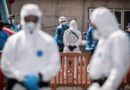 Hantavírus: missão vai ao Ushuaia identificar origem da contaminação