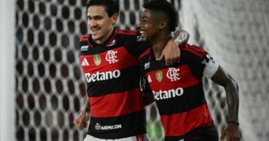 Cruzeiro, Flamengo, Palmeiras: veja os classificados da Libertadores