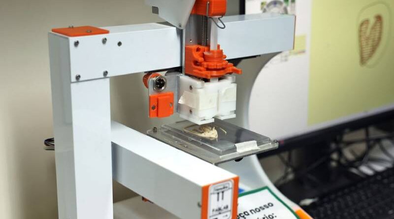 Carne de laboratório: conheça a técnica desenvolvida pela Embrapa Carne de laboratório: conheça a técnica desenvolvida pela Embrapa