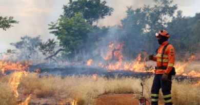 Bombeiros de MS se preparam para temporada de incêndios florestais com treinamentos e ações em campo Bombeiros de MS se preparam para temporada de incêndios florestais com treinamentos e ações em campo