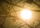 Clima vai do tempo firme a temporais nesta 6ª; confira sua região