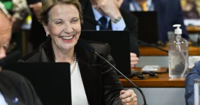 Opção a Flávio, Tereza Cristina fica com 1% e não tem votos de homens e evangélicos, diz pesquisa Opção a Flávio, Tereza Cristina fica com 1% e não tem votos de homens e evangélicos, diz pesquisa