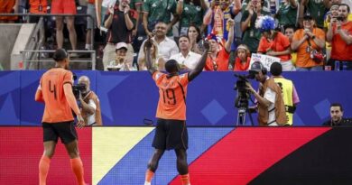 Holanda goleia Suécia e quebra recorde do Brasil na Copa do Mundo