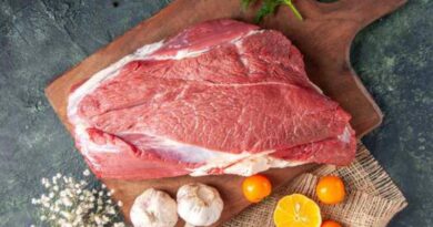 Sem a União Europeia, Brasil pode deixar de exportar quase US$ 2 bilhões ao ano em carnes; entenda