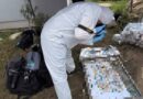 Médica é presa após descoberta de 34 fetos enterrados na Polônia Médica é presa após descoberta de 34 fetos enterrados na Polônia
