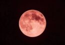 Saiba como e que horas ver a Lua de Morango nesta segunda (29/6)
