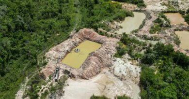 Câmara aprova urgência de texto que facilita garimpo de menor porte