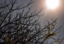 Maior do século: risco de super El Niño cresce e liga alerta no Brasil Maior do século: risco de super El Niño cresce e liga alerta no Brasil