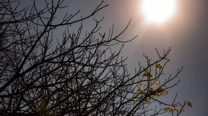 Maior do século: risco de super El Niño cresce e liga alerta no Brasil Maior do século: risco de super El Niño cresce e liga alerta no Brasil