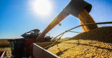CNA: 33% das exportações do agro brasileiro aos EUA terão sobretaxa total de 37,5%