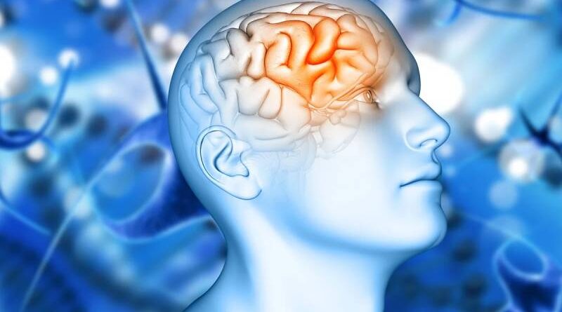 Novo remédio contra Alzheimer pode reduzir declínio cognitivo em 50%
