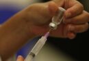 Vacinas contra covid-19 serão atualizadas contra novas variantes