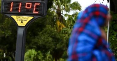 Clima: Frio intenso e geada marcam o sábado em grande parte do país Clima: Frio intenso e geada marcam o sábado em grande parte do país
