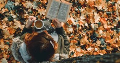 12 livros para ler em julho e se aventurar por novas histórias