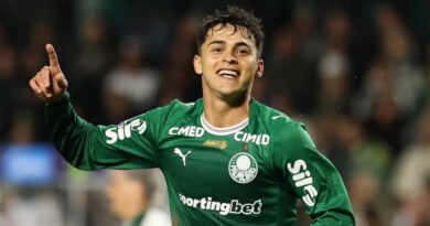 Com Palmeiras na liderança, 1º turno do Brasileirão chega ao fim
