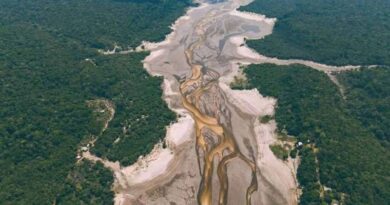 Ameaça de prejuízo com seca severa deixa economia amazônica em alerta