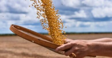 Tarifaço pode atingir 36,5% das exportações agrícolas aos EUA, diz CNA