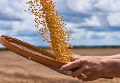 Tarifaço pode atingir 36,5% das exportações agrícolas aos EUA, diz CNA
