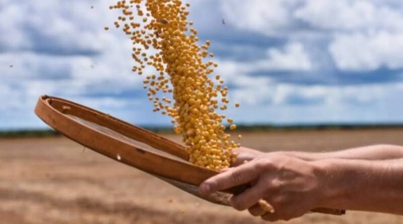 Tarifaço pode atingir 36,5% das exportações agrícolas aos EUA, diz CNA