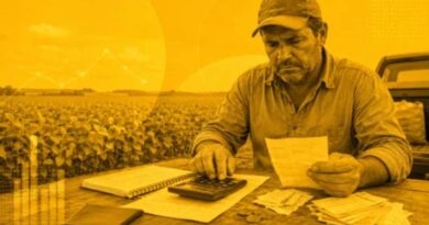 Pedidos de recuperação judicial no agro sobem 22% no 1º trimestre