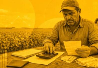 Pedidos de recuperação judicial no agro sobem 22% no 1º trimestre