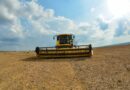 Agro avança e vegetação nativa recua no Brasil nos últimos 41 anos