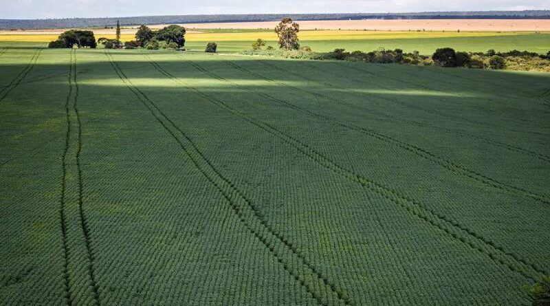 Senado aprova plano para fabricação de fertilizantes no Brasil