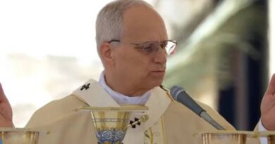 Papa Leão XIV volta a criticar a IA: “Corrói célula primária da sociedade”. Vídeo