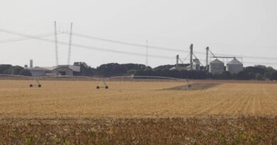 Inadimplência do agro chega a R$ 48 bilhões