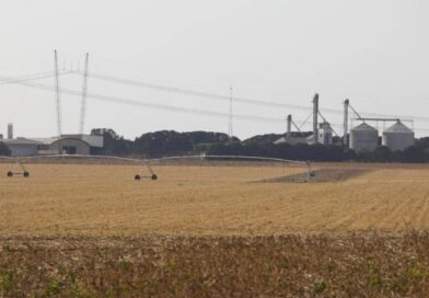 Inadimplência do agro chega a R$ 48 bilhões