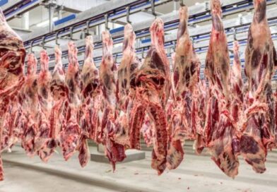 União Europeia suspende importação de carnes, ovos e mel do Brasil